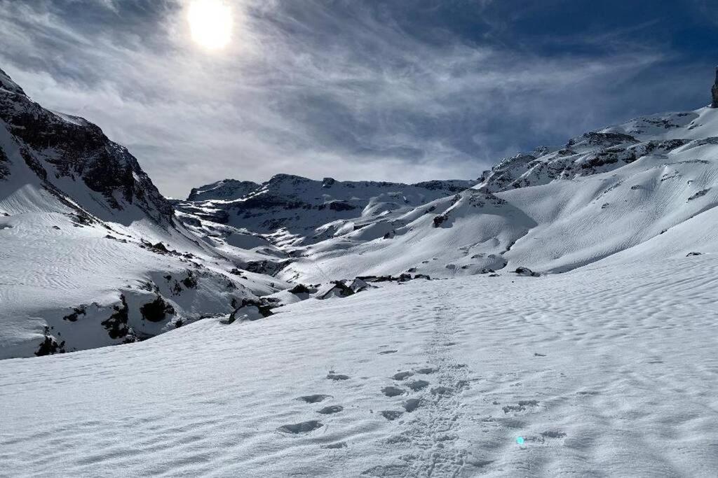 Studio Cabine Piau-Engaly Au Pied Des Pistes 아라뉴엣 외부 사진